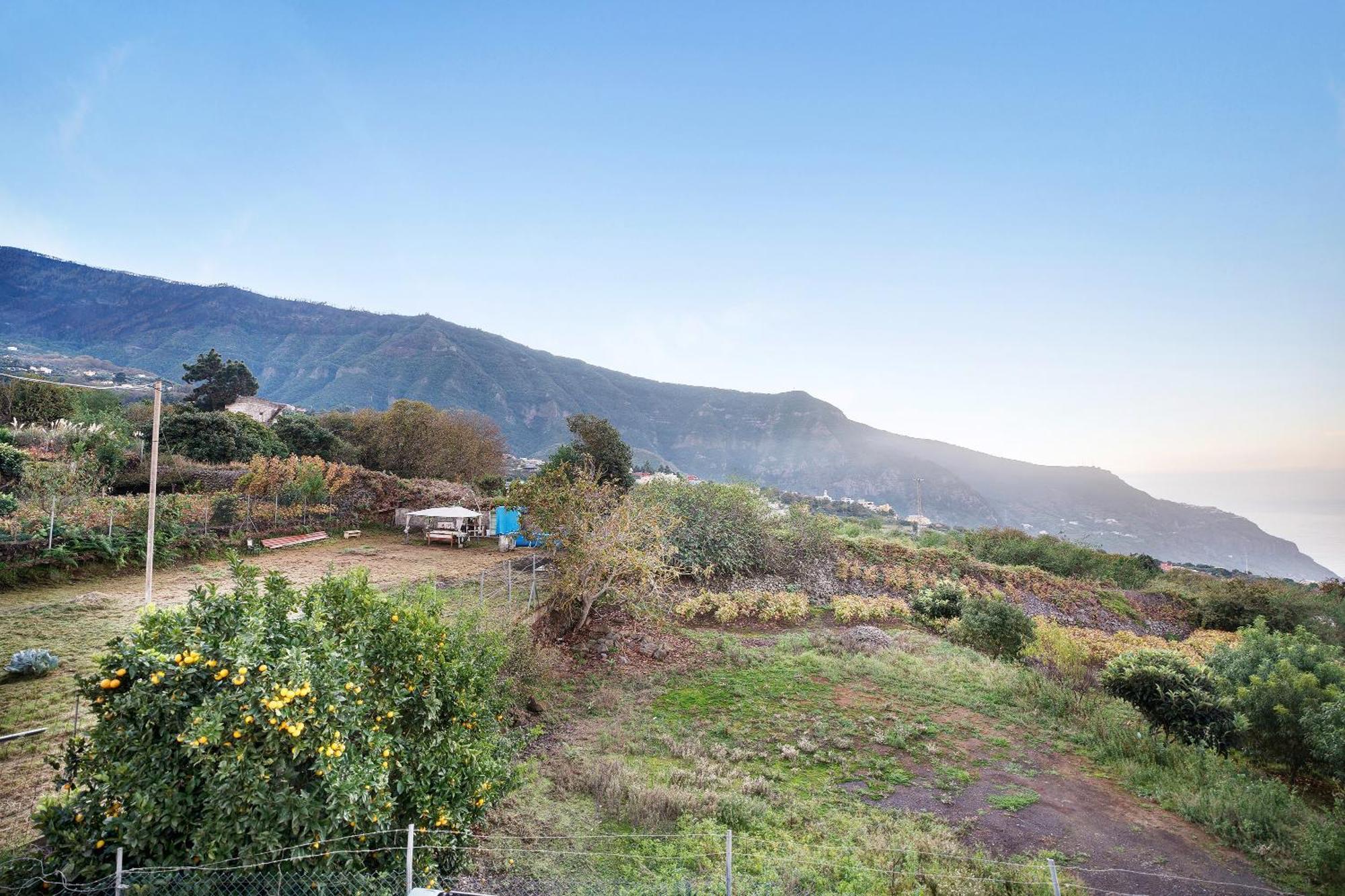 فيلا Casita Rural La Pinera لوس رياليخوس المظهر الخارجي الصورة